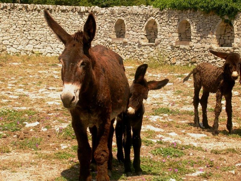 Casa Lo Re Διαμέρισμα Μαρτίνα Φράνκα Εξωτερικό φωτογραφία